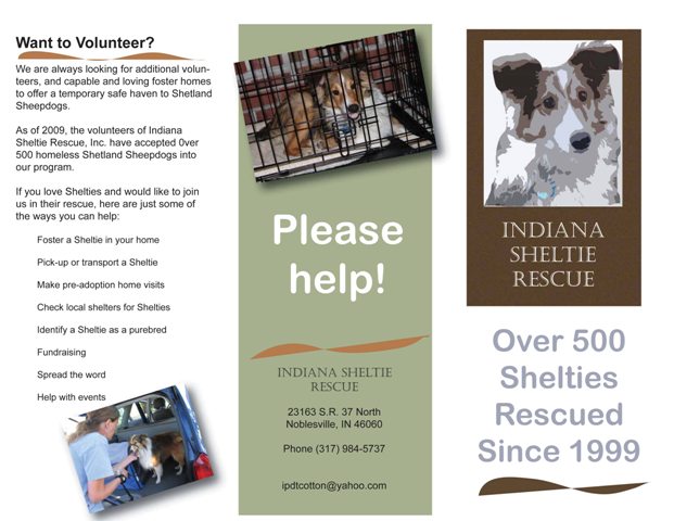 Indiana Sheltie Rescue brochure
